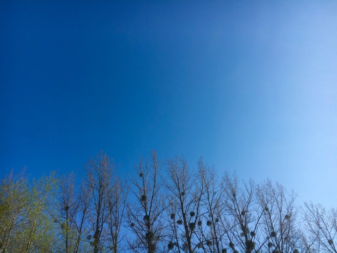 Horizonterweiterung von Armando Hauser CSM